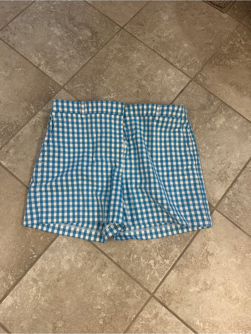 Ann Taylor Blue and White Gingham Shorts